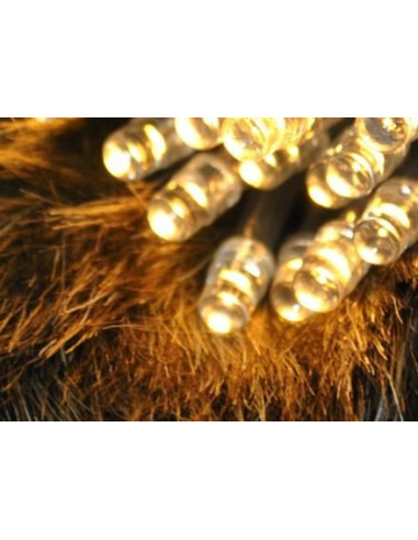 Kerstverlichting - 10 LED's - batterijen - Warm Wit