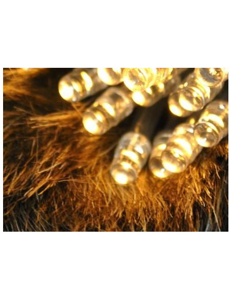 Kerstverlichting - 10 LED's - batterijen - Warm Wit