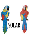 Papegaai met solarogen