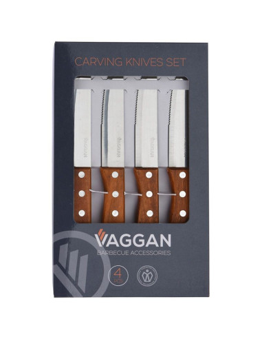 RVS Steakmessen set 4-delig