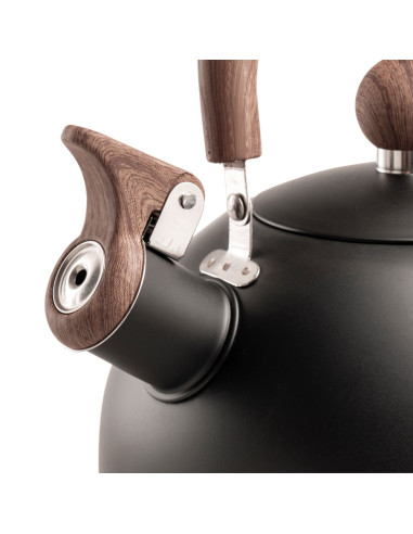 Bardani Wajan fluitketel - Tent - Caravan - Kamperen