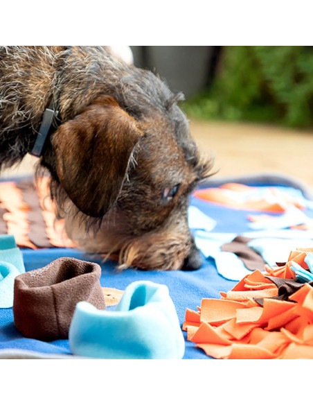 Snuffelmat voor honden - Speelmat