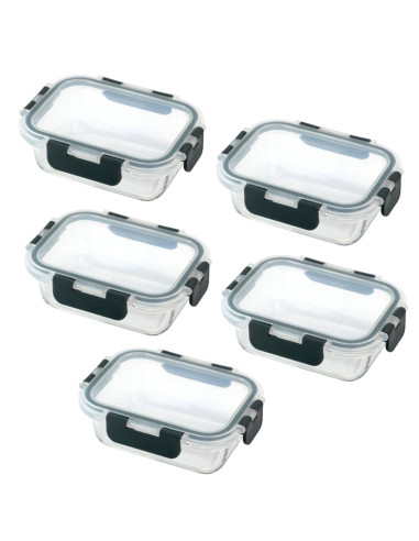 Ceruzo Meal Prep Bakjes - 5 stuks...