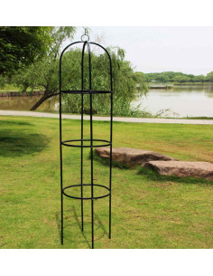 Ceruzo Rozenzuil 40 x 191 cm